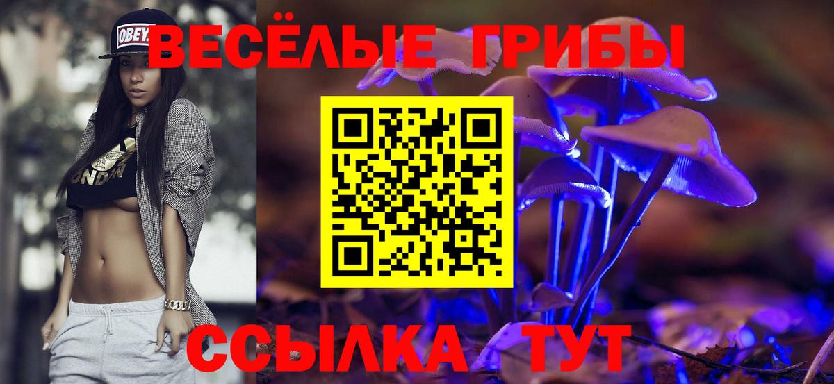 Прохладный  Галлюциногенные грибы Psilocybe  Псилоцибиновые грибы Cubensis  Вход с VPN 